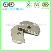 high quality customized stong neodymium magnet sectored
